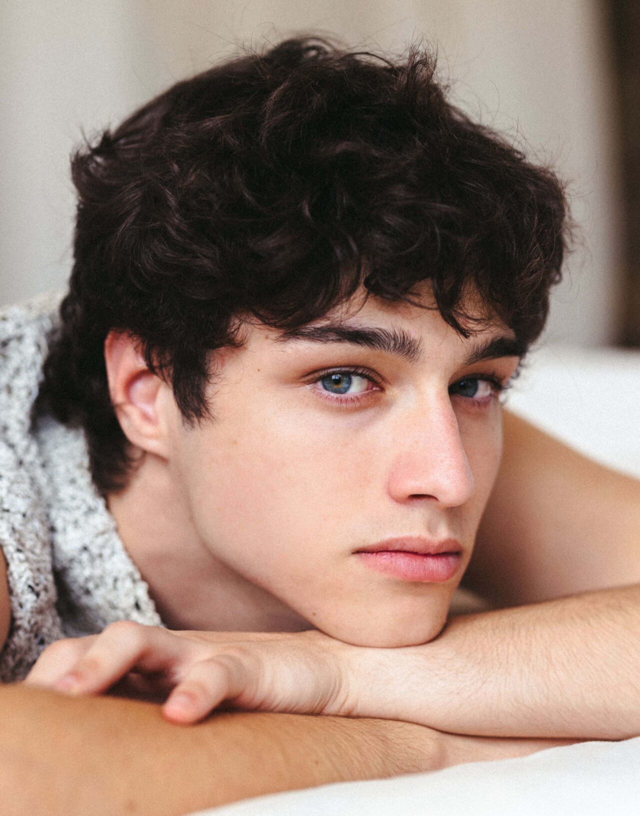 ARNAU TORRENT